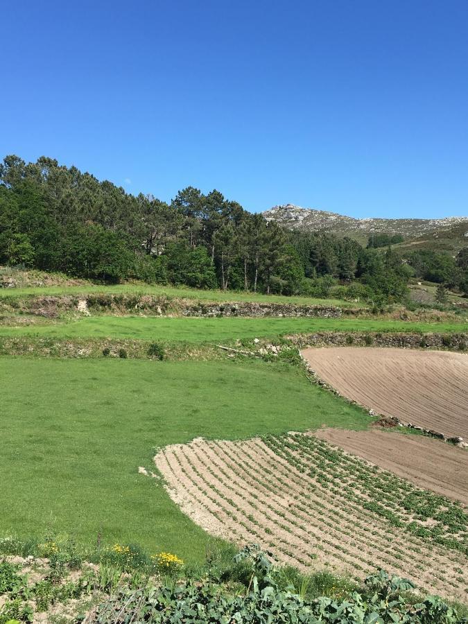 Appartamento Casa Dos Bernardos Terras de Bouro Esterno foto